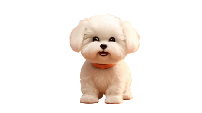 3d-rendering-dog-toy-removebg-preview